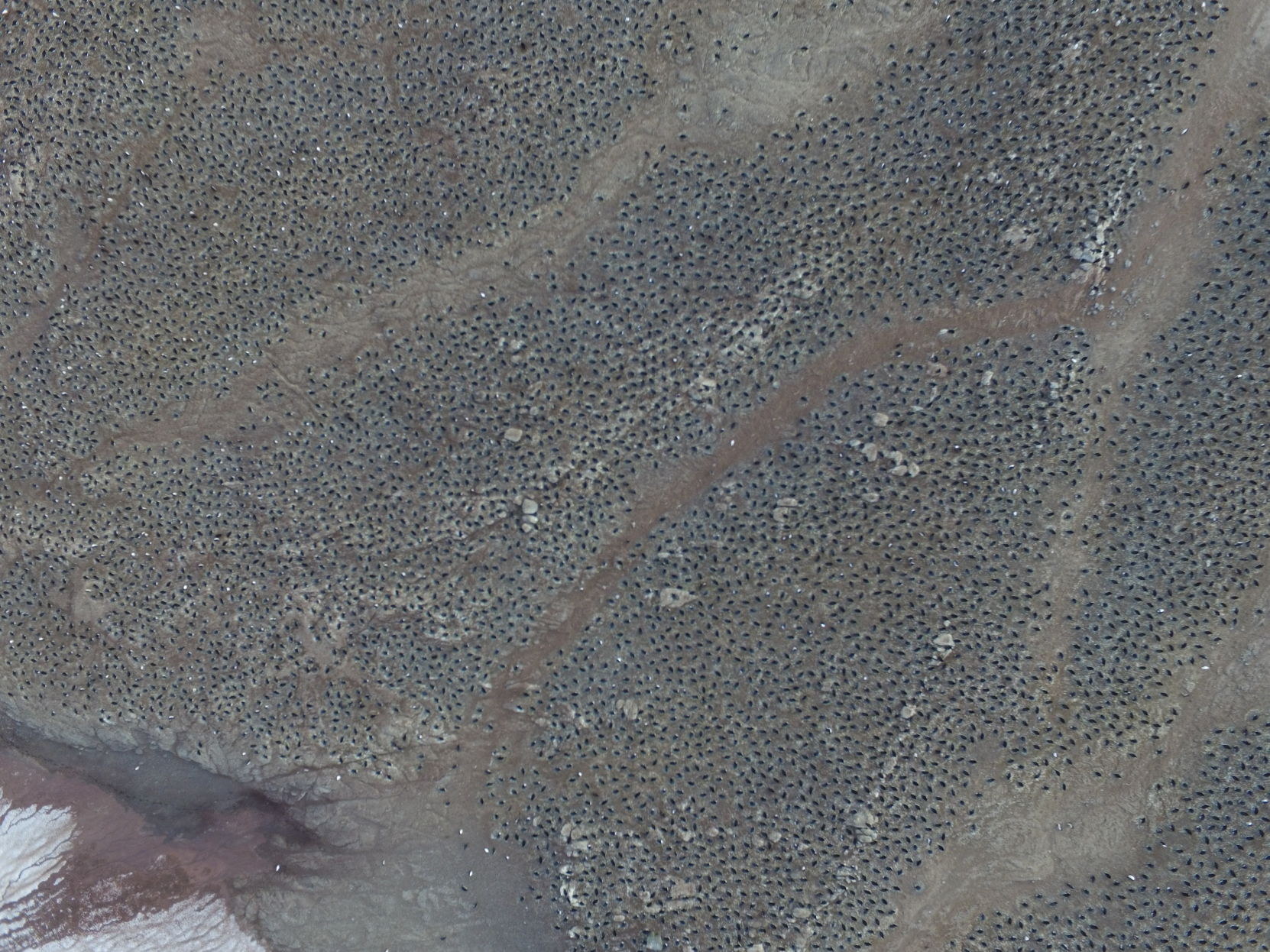 Danger Islands Expedition Image (3).JPG